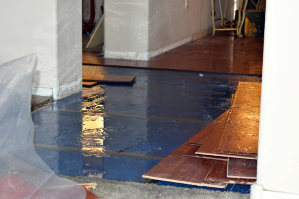 Professional Burst Pipe Cleanup technician working in Burke, VA
